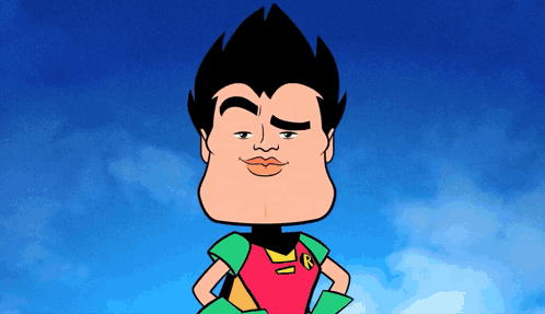 Robin Robin Teen Titans Go GIF
