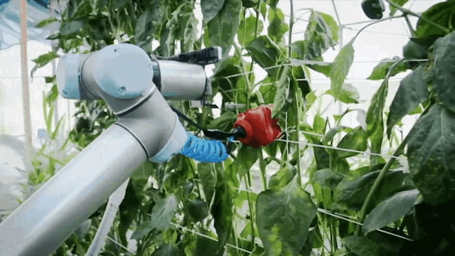 Robot Round2 GIF