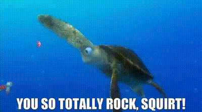 Rock GIF