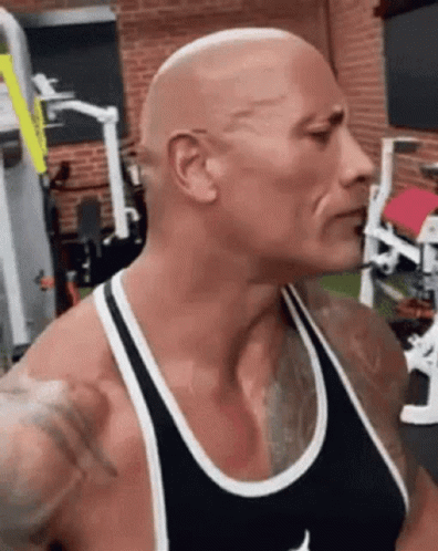 Rock The Eyebrow GIF