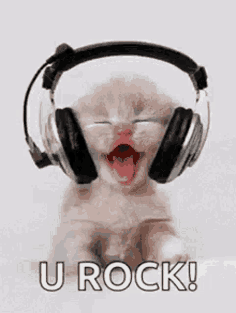 Rock You Meme