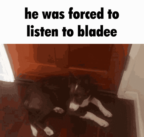 Rocky Bladee GIF