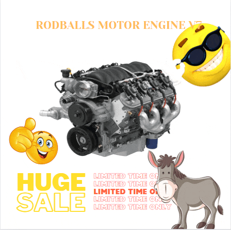 Rodman Rodballs Meme