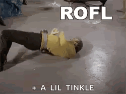 Rofl Rolling GIF