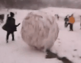 Roll GIF