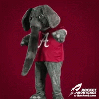 Roll Tide GIF