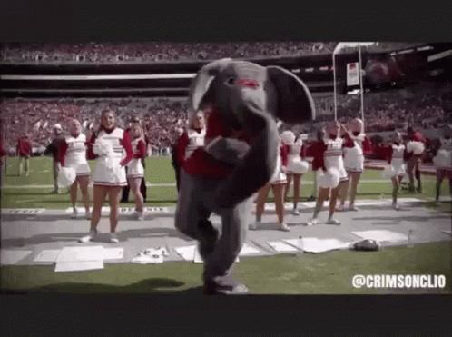 Roll Tide GIF