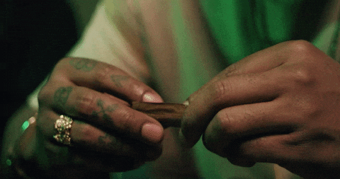 Roll Up Rolling GIF. This 480 x 253 animated GIF is part of our rolling a blunt collection. Related themes include cheech and chong. Created by vanikinz…