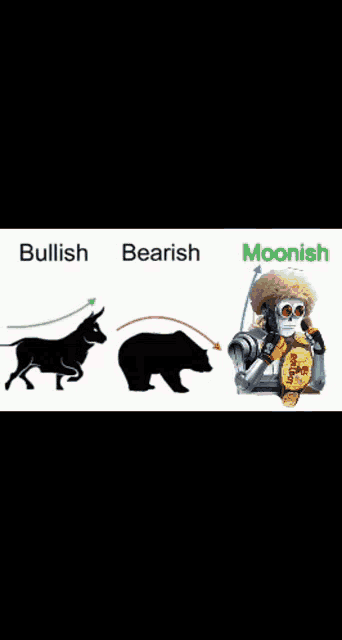 Rollbit Rollbot GIF