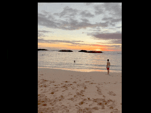 Rolling On Beach GIF