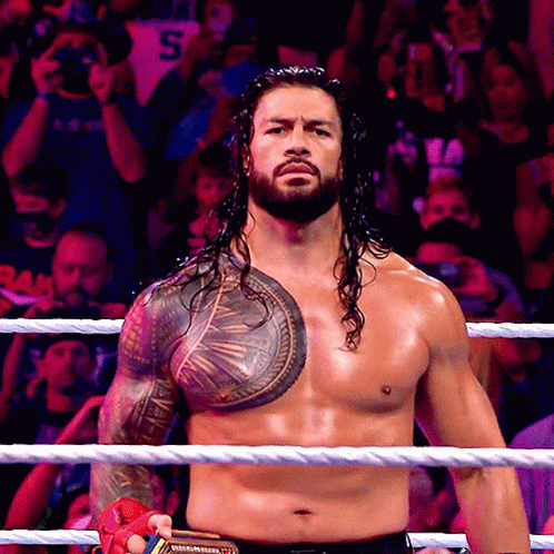 Roman Reigns Universal Champion GIF
