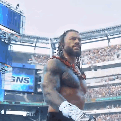 Roman Reigns Wwe Roman Reigns GIF