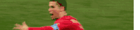 Ronaldo Score Purtogal Sticker