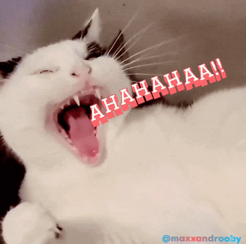 Rooby Maxxandrooby GIF