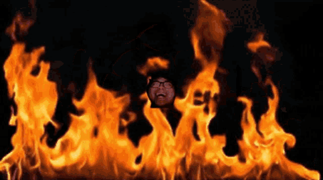 Rory Roryloli GIF
