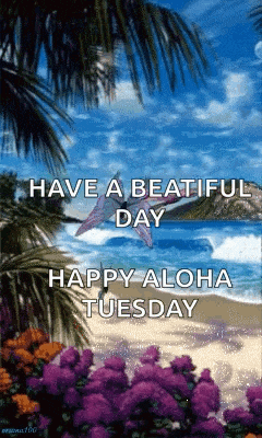 Rose Beach GIF