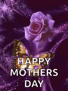 Rose Butterfly GIF