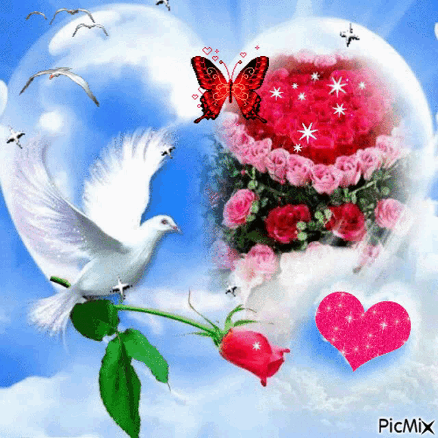 Rose Dove GIF