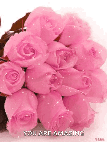 Rose Flower GIF