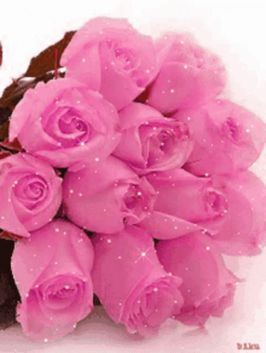Rose Flower GIF