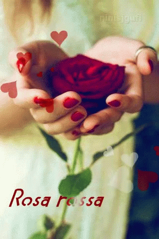 Rose For You GIF