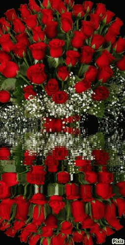 Rose517 Glittering Rose57 GIF