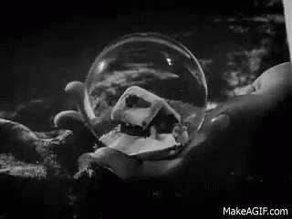 Rosebud The Ordinary Man Of Cinema GIF