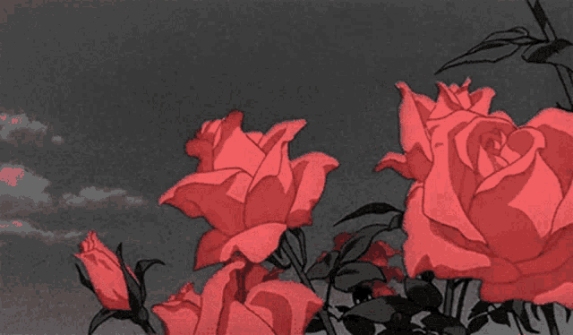 Roses Aesthetic GIF