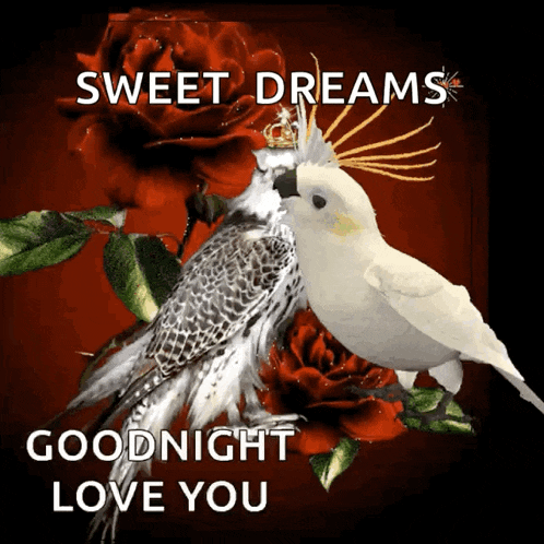 Roses Bird GIF
