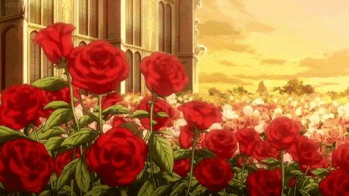 Roses Flowers GIF