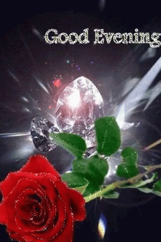 Roses Good Evening GIF. This 320 x 480 animated GIF is part of our immagini buona serata collection. Related themes include good evening. Created by…