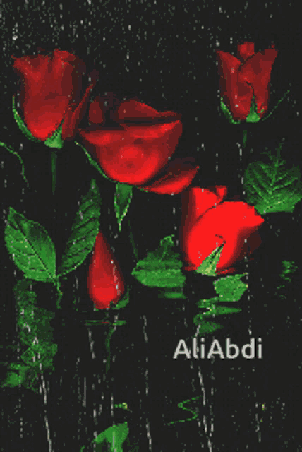 Roses GIF