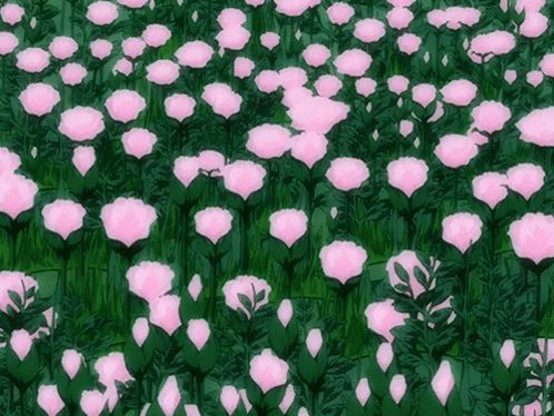 Roses Pretty GIF