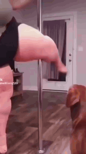 Rotisserie Pole Dance GIF. This 280 x 498 animated GIF is part of our people dancing collection. Created by QuickyPoi. View the original animation, share…