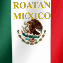 Rotmex6 GIF