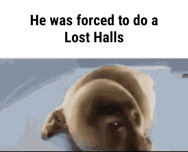 Rotmg GIF