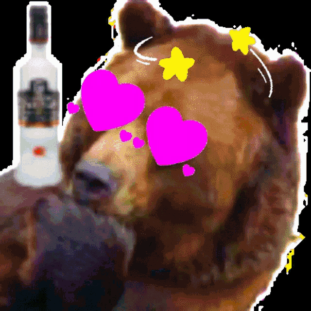 Roxas High Bear GIF