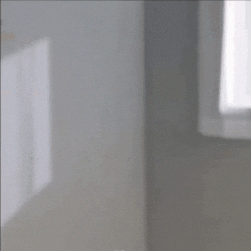 Roy Leops Hi GIF