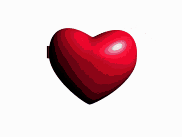 Roy My Beloved GIF