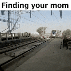 Rrts Delhi GIF