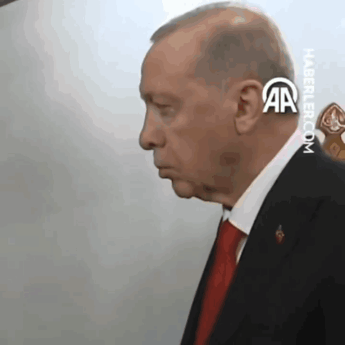 Rte Erdogan GIF