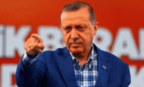 Rte Receptayyip GIF