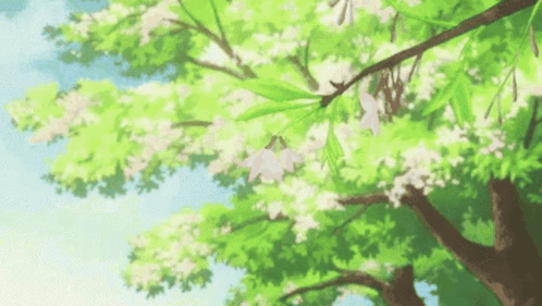 Ruless GIF