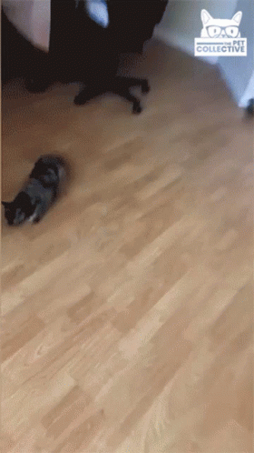 Run Escape GIF