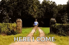 Run Forest Gump GIF