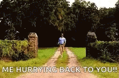 Run Forest Running GIF
