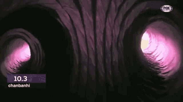 Run Shrek GIF