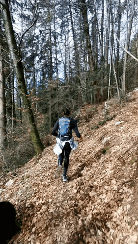 Run Trail GIF