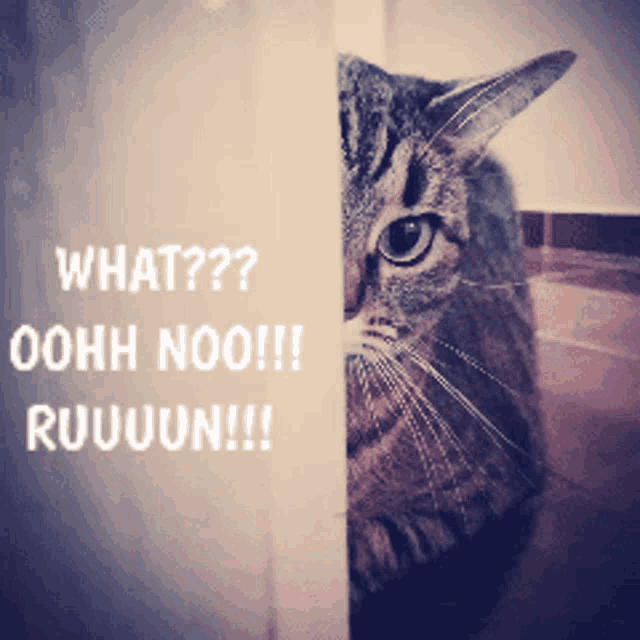 Run Watching GIF