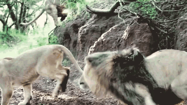 Running Dean Schneider GIF